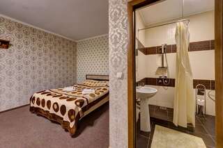 Отель Villa Vlad Буковель Двухместный номер с 1 кроватью-4