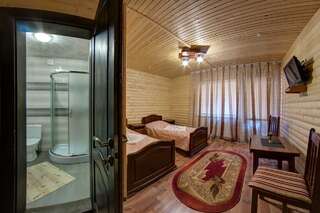 Отель Villa Vlad Буковель Стандартный двухместный номер с 1 кроватью или 2 отдельными кроватями-5