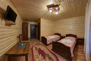 Отель Villa Vlad Буковель Стандартный двухместный номер с 1 кроватью или 2 отдельными кроватями-1